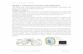 Genetic material in a cell: Prokaryotic genetic material · Module 2- Chromosome structure and organisation ... A Eukaryotic cell has genetic material in the form of genomic DNA enclosed