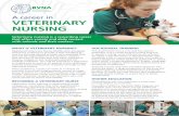 A career in VETERINARY NURSING - Home - BVNA · A career in VETERINARY NURSING Veterinary nursing is a rewarding career that offers variety and daily contact with animals and their