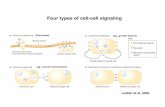 Four types of cell-cell signaling - its.caltech.edumbklab/courses/bi113/Lecture 7.pdf · Four types of cell-cell signaling Lodish et al, 2000 (Hormones) (eg., neural transmission)