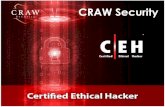 CRAW Security · Course Description The Certified Ethical Hacker (CEH) program is the core of the most desired information security training system any …