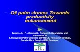 Oil palm clones: Towards productivity enhancementisopb.mpob.gov.my/pdfFile/2nd/PAPER 8 Tarmizi.pdfOil palm clones: Towards productivity enhancement By Tarmizi, A.H 1. , Zamzuri,I.