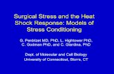 Surgical Stress and the Heat Shock Response: Models of ...dose-response.org/wp-content/uploads/2014/05/Perdrizet_2011.4.26...• Hans Selye - G.A.S.-1930 • Endotoxin tolerance-1940