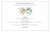Standards-Based Biology Lesson · Standards-Based Biology Lesson ... structure, function, cell wall, chloroplast, vacuole, cell membrane ... A remediation plan includes teacher-facilitated
