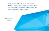 SAP HANA on Azure 101 - suse.com · SAP HANA on Azure 101: An Introduction to Running SAP HANA in Microsoft Azure 2 | P a g e Abstract This document is intended to provide an introduction