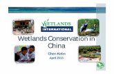 Wetlands Conservation in China - Wetland Link Internationalwli.wwt.org.uk/wp-content/uploads/2013/07/ChenKelin_Wetlands... · Area of Wetlands in China Marshes 13.70 m ha Reservoirs
