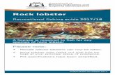 Rock lobster - divingfrontiers.com.au · PUBLISHED . OCTOBER 2017. Department of. Primary Industries and Regional Development. Recreational fishing guide . 2017/18. Rock lobster…