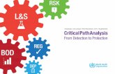 From Detection to Protection - WHO · The practices of the WHO coordinated ... one of the outcomes of the PIP process was the ... FRAMEWORK - Critical Path Analysis - From Detection