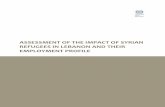ASSESSMENT OF THE IMPACT OF SYRIAN REFUGEES …arabstates/@ro-beirut/documents/... · Assessment of the impact of Syrian refugees in Lebanon and their employment profile / ILO ...