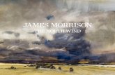 James morrison - The Scottish Gallery · James Morrison was not consciously thinking about ‘The Wild Geese’ when creating the paintings in this exhibition. however, upon recently