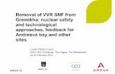 Removal of VVR SNF from Gremikha: nuclear safety and ...€¦ · and technological approaches, feedback for Andreeva bay and other ... Main Nuclear Safety and Technological Approaches