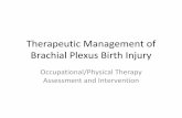Modern Management of Brachial Plexus Birth Injury€¦ · Therapeutic Management of Brachial Plexus Birth Injury ... Parents will be given protocol sheets ... Modern Management of