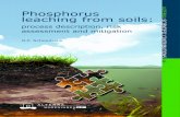 Phosphorus leaching from soils - WUR · Phosphorus leaching from soils: ... It was already well known that non‐calcareous sandy soils are vulnerable to P ... management (farm system