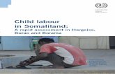 Child labour in Somaliland - International Labour … · Elmi (HAVOYOCO), Abdikadir Essa Hussein and Ahmed Hassan Yussuf (ANPPCAN ... Child labour in Somaliland: A rapid assessment
