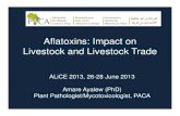Aflatoxins: Impact on Livestock and Livestock Trade/media/Files/Projects/Aflatoxin microsite/2013... · Aflatoxins: Impact on Livestock and Livestock Trade ... temperature, insect