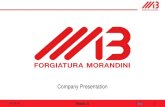 Company Presentation - morandini.it presentation R.10 2018...NORSOK M630 MDS D44 . ASTM A182 F53 . thickness up to T=280 mm . NORSOK M630 MDS D54 . Certifications . 02.2018 Company