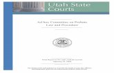 Ad hoc Committee on Probate Law and Procedure - … hoc Committee on Probate Law and Procedure Final Report to the Judicial Council February 23, 2009 Prepared by ... Salt Lake City,