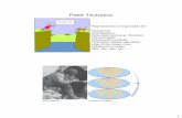 Plate Tectonics - UNLV Geosciencegeoscience.unlv.edu/Terry_GEOL101_Powerpoint/Plate Tectonics.pdf · Plate Tectonics Plate tectonics is responsible for: Volcanoes ... divergent margins,