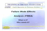 Failure Mode Effects Analysis (FMEA) - VIRUSX-Dz Training Group COPE Capture Opportunities for Performance Excellence 1 Failure Mode Effects Analysis (FMEA) TRAINING IS THE KEY TO
