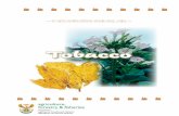 Tobacco - Department of Agriculture, Forestry and Fisheries and Production... · agriculture, forestry & fisheries Department: Agriculture, Forestry and Fisheries REPUBLIC OF SOUTH