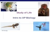Study of Life Intro to AP Biology - Katy ISDstaff.katyisd.org/sites/thsbiologyapgt/Documents/Unit 01- Nature of...AP Biology 2007-2008 Study of Life Intro to AP Biology . AP Biology