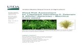 Lilaeopsis mauritiana WRA - cabi.org Lilaeopsis mauritiana G ... risk assessment and risk management are distinctly different phases of pest risk analysis (e ... as well as by sellers