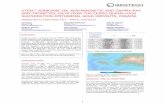 VTEM™ AIRBORNE EM, AEROMAGNETIC AND …geotech.ca/wp-content/uploads/2015/04/064-CerroQuema_ASEG-PESA...deposits in Panama. Geophysical signatures, including airborne induced polarization