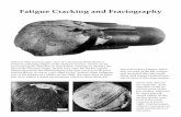 Fatigue Cracking and Fractography - Berkeley Lab · Fatigue Cracking and Fractography (Near left) Almost the opposite: crack initiation at the ar- ... high strains per cycle, and