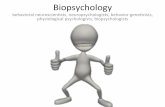 Biopsychology+bhscurtright.weebly.com/uploads/4/9/0/9/4909154/neuroscience.pdf · (amplify+normal+sensa3ons+of+ ... chemicals+circula3ng+in+the+blood.+ • EX: ... What do you call