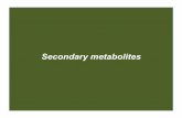 Secondary metabolites - Napa Valley College · Metabolites Metabolites are all the products of metabolism A primary metabolite is directly involved in normal growth, development,