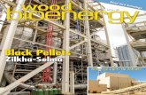cover.qxp Wood Bioenergy Magazine 4/15/15 … power ReEnergy Ashland Restarts With Boom 26 Wood Bioenergy / April 2015 The ReEnergy Ashland restart management team, from …