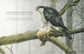 WORLD CENTER FOR BIRDS OF PREY THE PEREGRINE FUND€¦ ·  · 2015-11-30THE PEREGRINE FUND WORLD CENTER FOR BIRDS OF PREY Working to Conserve Birds ... In 2000 we also expected the