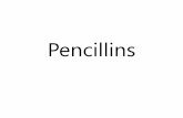 Pencillins - كلية الطب penicillin G benzathine penicillin G IM and serve as depot forms. They are slowly absorbed into the circulation and persist at ...