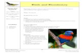 11 Birds and Biomimicry fwnf - Klamath Bird Observatory · bio means ‘life, or nature” mimicry means “to copy,” we can understand that biomimicry is when humans ... 11 Birds