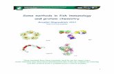 Some methods in fish immunology and protein chemistry Methods.pdf · 1 Some methods in fish immunology and protein chemistry Bergljót Magnadóttir 2012 SAP IgG ApoLP C3 These methods