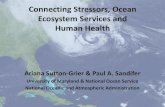 Connecting Stressors, Ocean Ecosystem Services and …conference.ifas.ufl.edu/aces14/presentations/Dec 10 Wednesday/3... · Ecology Letters and ... sanitation, security –Decreases