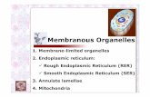 Membranous Organelles - nikolai.lazarov.pronikolai.lazarov.pro/.../cell_biology/06_Membranous_Organelles_1.pdf · Membranous Organelles 1.Membrane-limited organelles 2.Endoplasmic