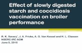 Effect of slowly digested starch and coccidiosis ... · Effect of slowly digested starch and coccidiosis vaccination on broiler performance ... (1979) Eimeria maxima Reid and ...