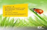 Labor & Employment Law Strategic Global Topics - EY 01, 2017 · 3 Labor & Employment Law Strategic Global Topics Risk is one of the red-flag dangers for businesses around the world
