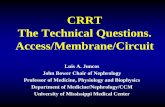 CRRT The Technical Questions. Access/Membrane/Circuit · The Technical Questions. Access/Membrane/Circuit ... –Carotid Artery Puncture ... High arterial and/or venous pressure reduces