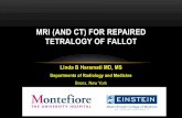 MRI (AND CT) FOR REPAIRED TETRALOGY OF FALLOT a… ·  · 2013-12-05Linda B Haramati MD, MS Departments of Radiology and Medicine Bronx, New York MRI (AND CT) FOR REPAIRED TETRALOGY