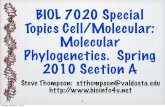 BIOL 7020 Special Topics Cell/Molecular: Molecular ...stevet/VSU/Bio7020/3.Align.pdfTopics Cell/Molecular: Molecular Phylogenetics. Spring 2010 Section A ... Both available at the