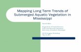 Mapping Long Term Trends of Submerged Aquatic Vegetation ...grandbaynerr.org/wp-content/.../05/Patrick-Biber-SAV-Mapping-May-20… · Submerged Aquatic Vegetation in Mississippi ...