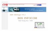 ERP-MANager V5.1 BDS INFOCOM - CSAJ5)KimYoungSoo..pdfExport/Import Accounting Personnel / Payroll Cost Sales Purchase/ Materials Production Quality Research Export/Import Accounting
