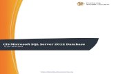 CIS Microsoft SQL Server 2012 Database Engine … Microsoft SQL Server 2012 Database Engine Benchmark ... audit and compliance, security research ... Audit: To determine your SQL Server