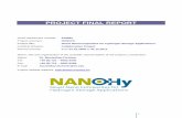 PROJECT FINAL REPORT 4.1 Final Publishable Summary Report 4.1.1 Executive summary The work in NANOHy has dealt with theoretical modelling, synthesis, characterization, and testing