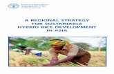 A REGIONAL STRATEGY FOR SUSTAINABLE … A REGIONAL STRATEGY FOR SUSTAINABLE HYBRID RICE DEVELOPMENT IN ASIA FOOD AND AGRICULTURE ORGANIZATION OF THE UNITED NATIONS REGIONAL OFFICE