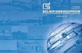 REPUBLICAN UNITARY ENTERPRISE …belnipi.by/wp-content/uploads/2017/01/NIPI-Catalog-2014_01_ENG.pdf · Belnipienergoprom Republican Unitary Enterprise as a leading ... existing power