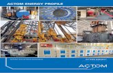 ACTOM ENERGY PROFILE · By integrating the ACTOM Group’s locally manufactured electrical ... of industries in South Africa and Sub-Saharan Africa ... Transformers • MV Switchgear