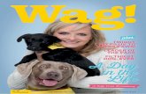 A Day in the Life - Dogs Rehoming & Dog Adoption … Michelle Persaud, Sarah Morgan. Special thanks to Emma Meaden. Editorial board for Condé Nash: Daniel, Deedee, Dennis, Florrie,