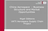 China Aerospace - Business Structure and Market Opportunities€¦ ·  · 2017-02-17China Aerospace - Business Structure and Market Opportunities ... China’s Outline of National